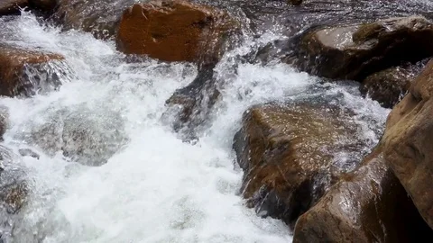 River stream in the forest 库存影片 83721253