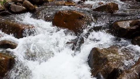 River stream in the forest Vidéo 83721322