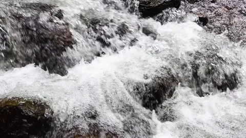 River stream in the forest Stock-Footage 83721376
