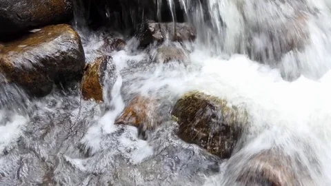 River stream in the forest Stock-Footage 83721485