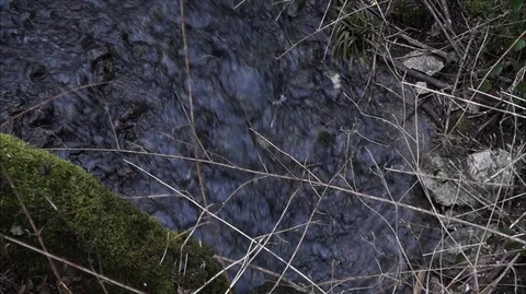 River stream in a forest Stock Footage 99397197