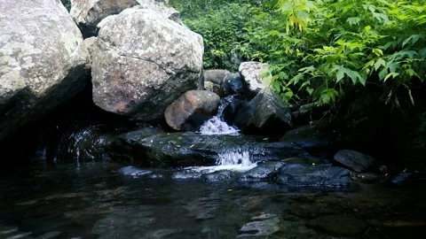 River stream in the forest Vídeos de archivo 219417740