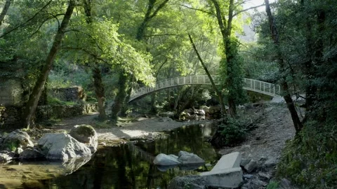 River Stream In Forest  Rocks and Nature Drone Stock Footage 163165873
