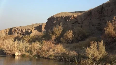 A river stream glides past green bushes and sways gently, stock footage. Stock Footage 304784671