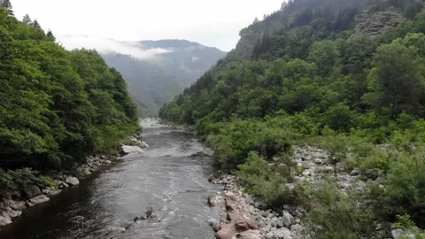 River stream on a green valley 스톡 동영상 136473160