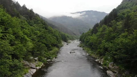 River stream on a green valley 스톡 동영상 136473188