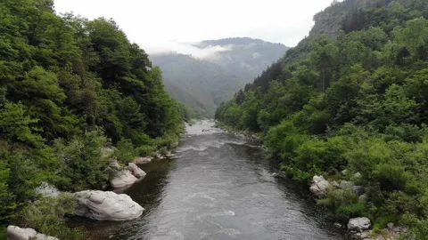 River stream on a green valley 스톡 동영상 136473235