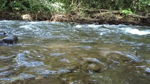 River Stream - Hule River in Costa Rica (2022) Stock Footage 168209670