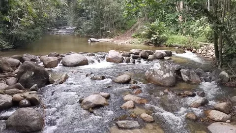 River stream in Kuala Kubu Bharu, Selangor, Malaysia. Stock Footage 152434425