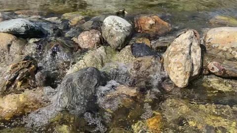 River stream in Les Cévennes Stock Footage 345360751