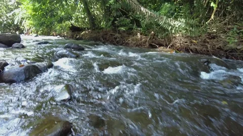 River stream in middle of the Jungle in Costa Rica (Hule River - January 2022) Stock Footage 168209768
