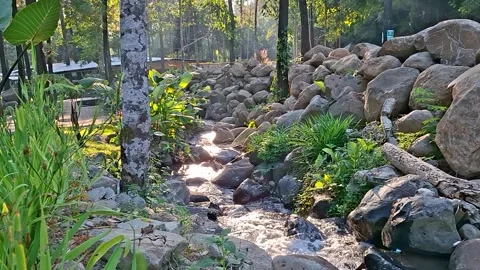 River Stream in Morning Atmosphere Stock Footage 337273435