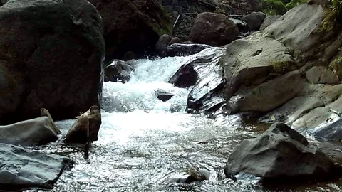 River stream on the mountain and small waterfall Stock Footage 123828029