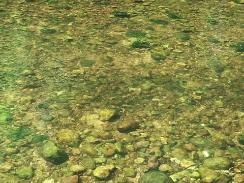 River Stream Mountain Brook Creek Water Closeup Stock Footage 72185960