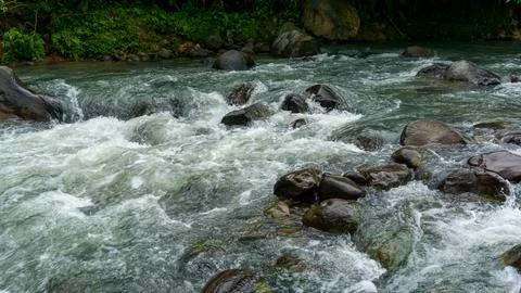 River stream with mountain rocks. River and stones with forest landscape Stock Photos