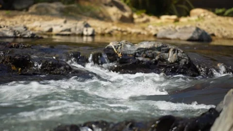 River stream in the mountains. Close-up of a natural stream in the forest. Stock Footage 300876991