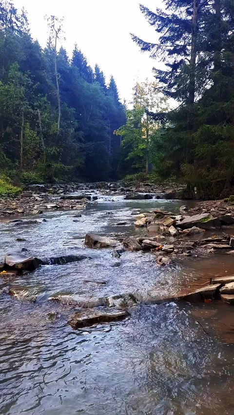 River stream in mountains. Stock Footage 255386839