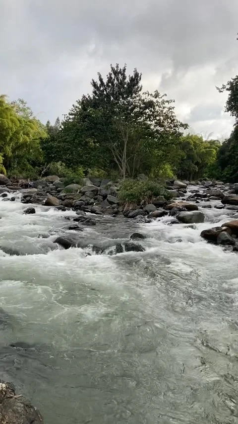 River stream in the mountains. La Confluencia, Jarabacoa, Dominican Republic Stock Footage 281054003