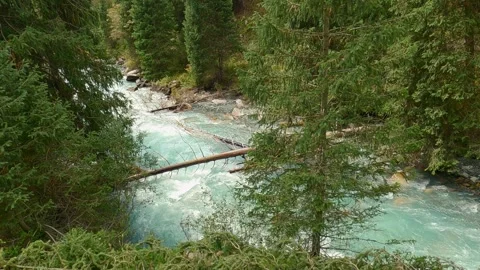 River stream in the mountains. Mountain river stream in woods Stock Footage 253213773