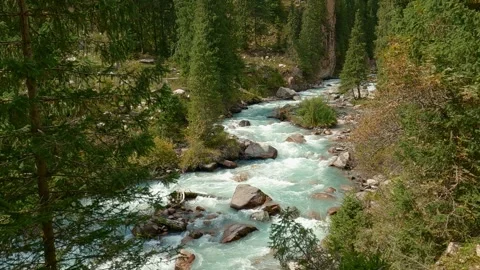 River stream in the mountains. Mountain river stream in woods Stock Footage 253214948