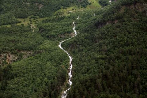 River stream on the mountainside covered with trees. Stock Photos