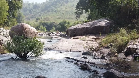 River stream passing through rocks Stock Footage 221265261