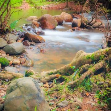 River stream Stock Photos