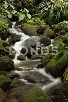 River Stream Stock Photos