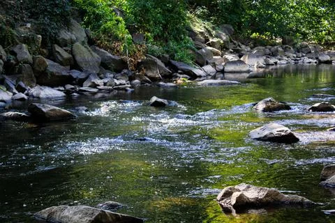River Stream Stock Photos