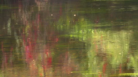 RIVER, STREAM, REFLECTIONS 動画素材 243376940