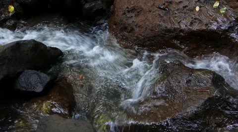 River stream in the rocks 库存影片 50885350