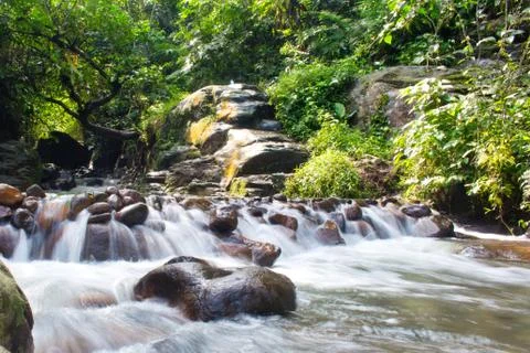River stream with rocks in the middle of the forest Stock Photos