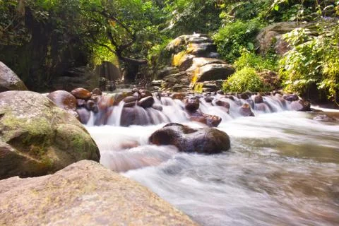 River stream with rocks in the middle of the forest Stock Photos