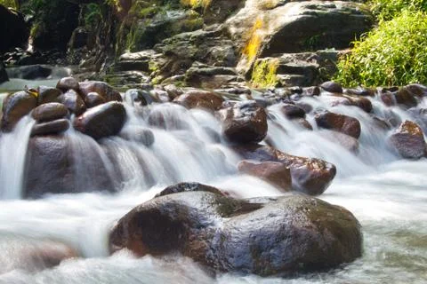 River stream with rocks in the middle of the forest Stock Photos