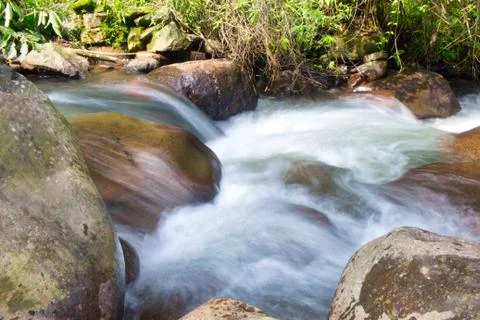River stream with rocks in the middle of the forest Stock Photos