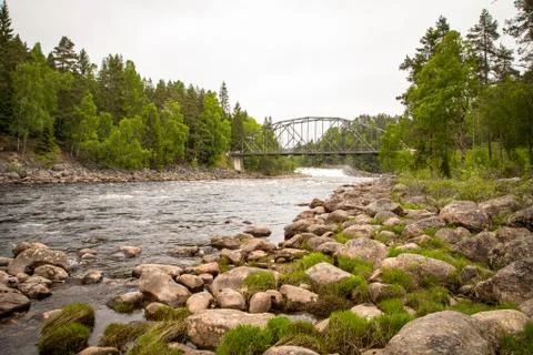 River stream in rocky environment in the forest with a bridge in the background Stock Photos