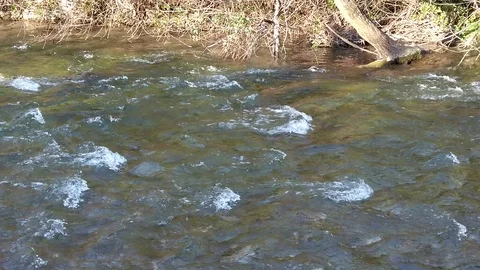 River stream - slow motion Video stock 103103501