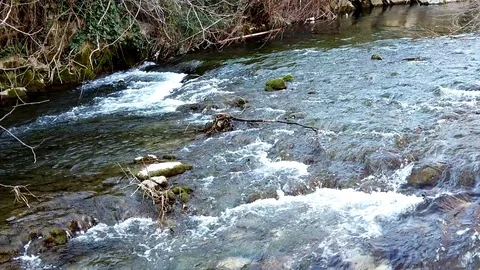River stream - slow motion Video stock 103104891