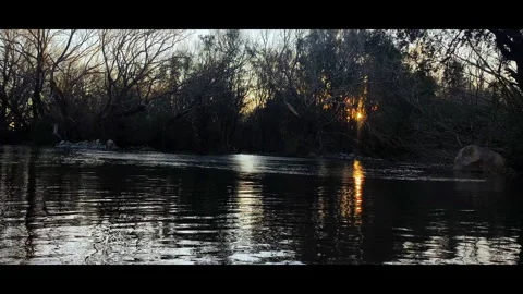 River Stream Sun Flare Through Trees Vidéo 344990841