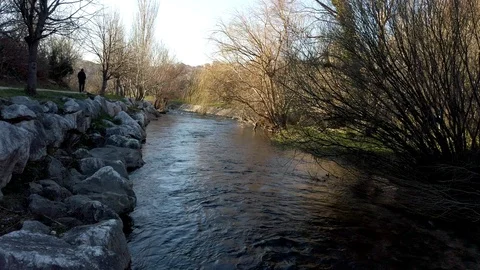 River stream on a sunny day Video stock 103102663