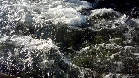 River stream on a sunny day Video stock 103103065