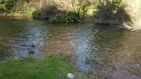 River stream on a sunny day Video stock 103103627
