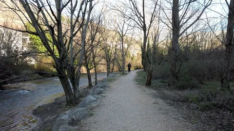 River stream on a sunny day Video stock 103104006