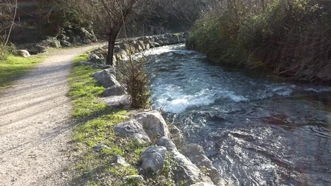 River stream on a sunny day Video stock 103104581