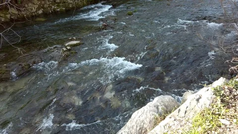 River stream on a sunny day Video stock 103104792