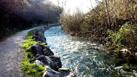 River stream on a sunny day Video stock 103104984