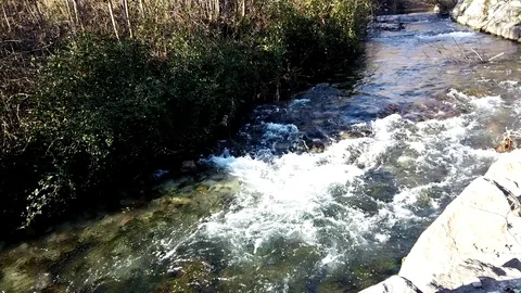 River stream on a sunny day Video stock 103105026