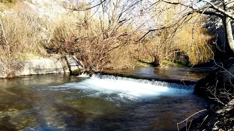 River stream on a sunny day Video stock 103105352