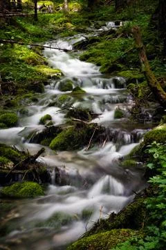 River stream surrounded by green moss in Soca (Trenta) valley in Slovenia. Stock Photos