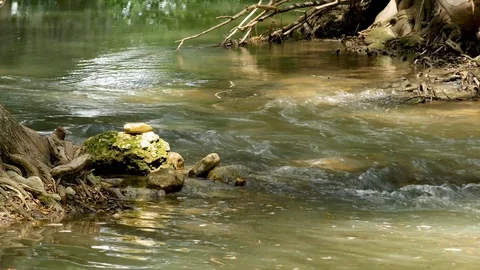 River Stream through rocks and trees. 動画素材 94398987